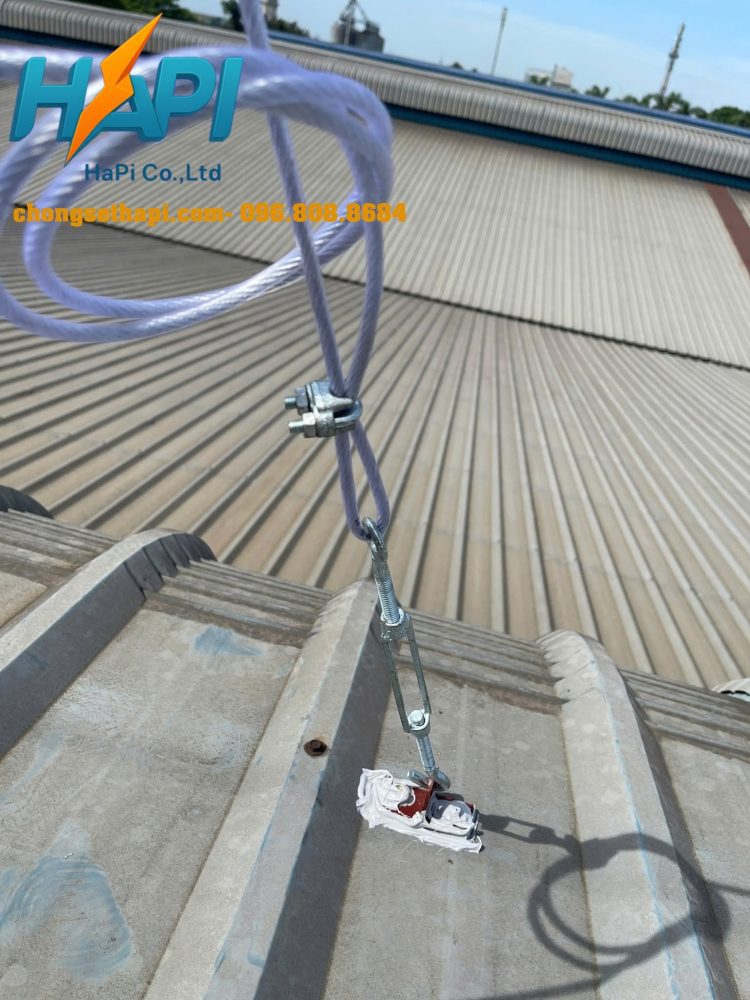 6 scaled