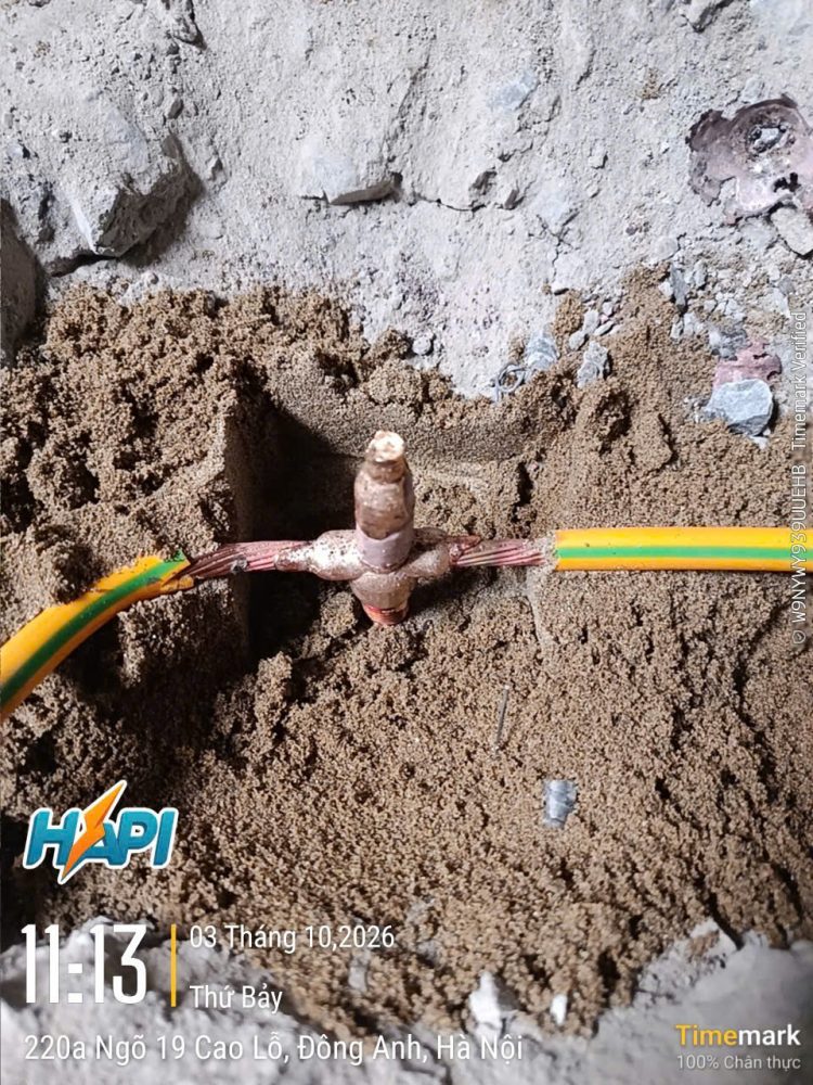 Moi han hoa nhiet scaled
